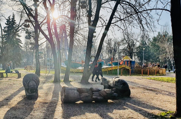 гибель девочки дубовой роще