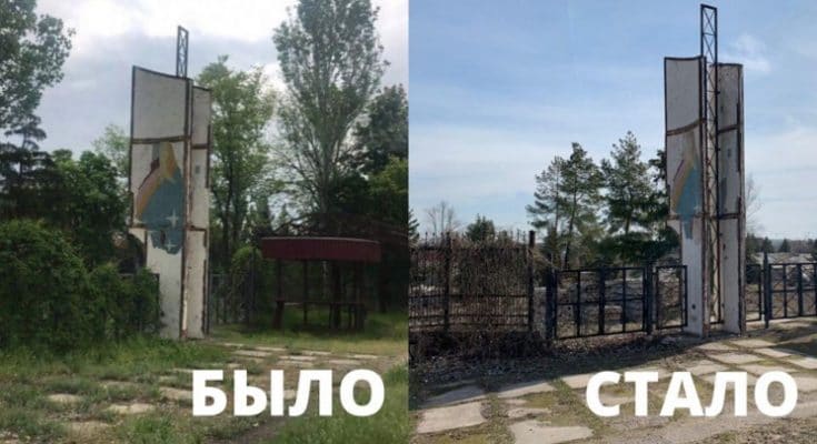 кальцев деревья