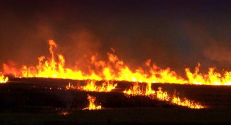 пожары в Запорожской области