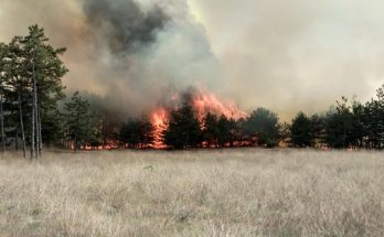 пожар в Запорожской области