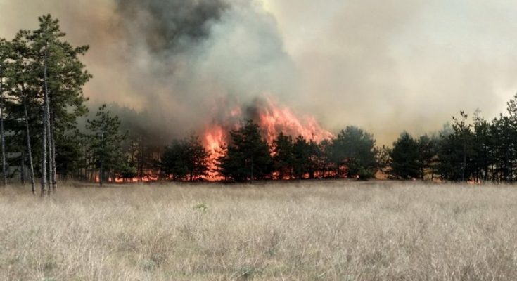 пожар в Запорожской области