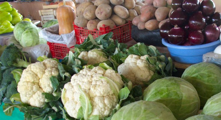 рынки в Запорожской области