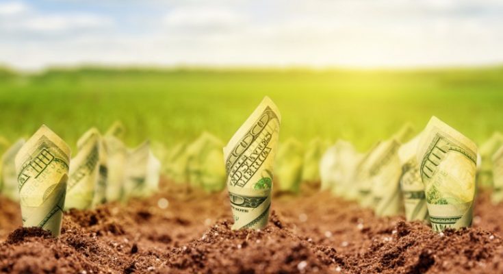 гектар земли