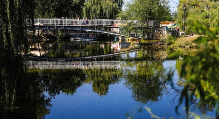 Дубовая роща