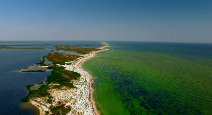 на косе Пересыпь