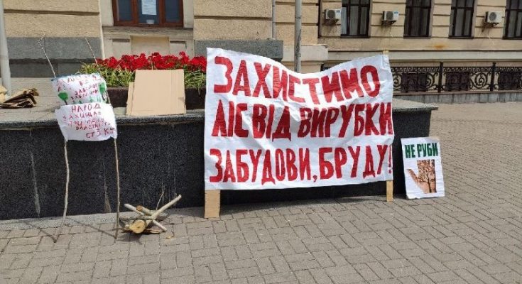 вырубки деревьев