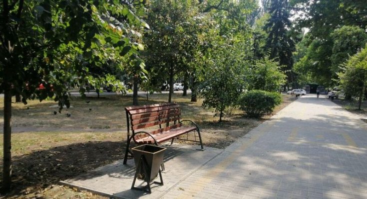 по газону аллеи