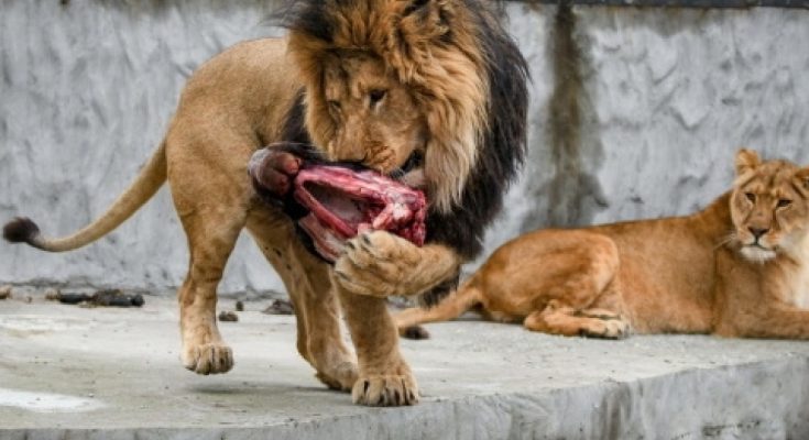 центр реабилитации