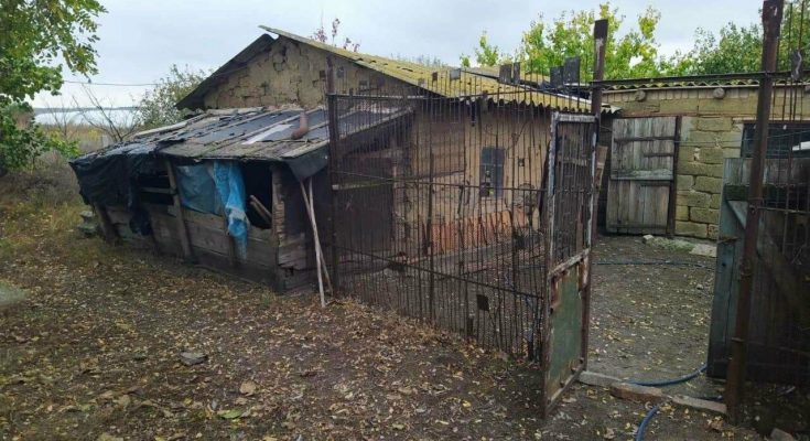 трое грабителей