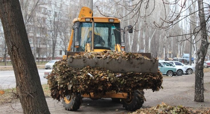 вывозят листья