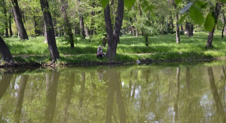 Запорожье экофонд деньги
