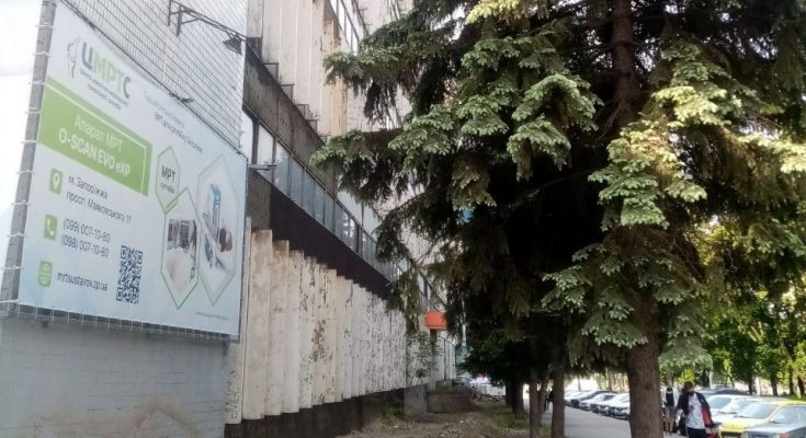 снесли ели