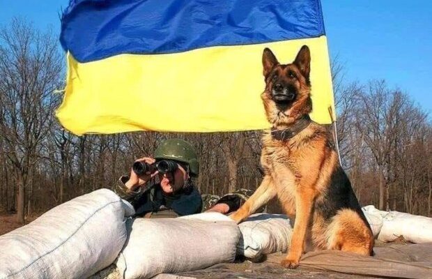 Украина противостоит