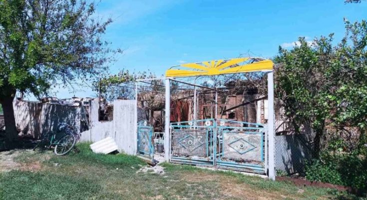 новости орехов