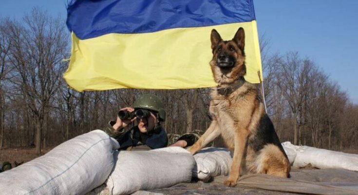 підіймають настрій