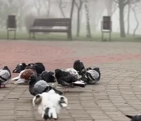 Запоріжжя