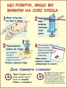 Кліщі повертаються