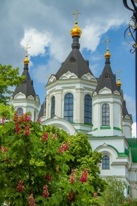 квітнуть червоні каштани