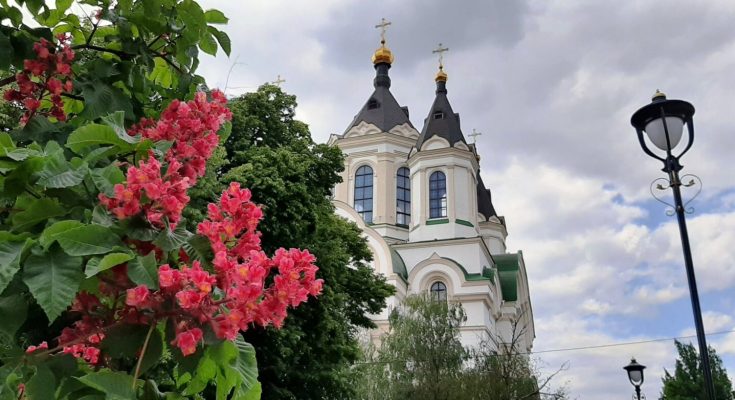квітнуть червоні каштани
