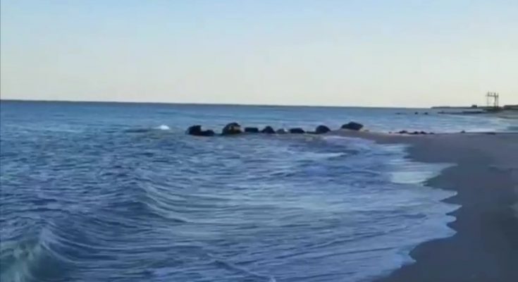 узбережжя Азовського моря