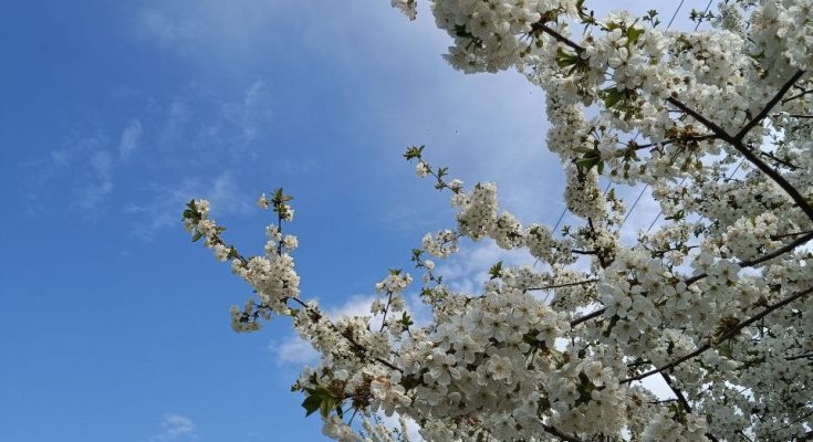 поліпшення погодних умов