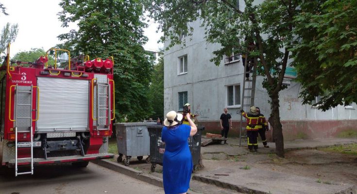 знімали школяра з дерева