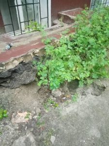 вулиця Патріотична