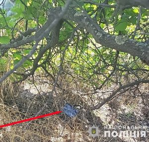 16-річного підлітка