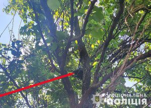 16-річного підлітка