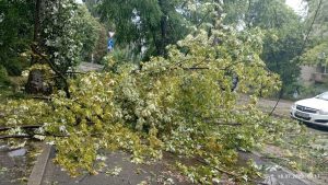 під час зливи