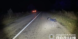 переїхала автівкою чоловіка