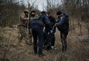 гриби