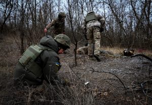 гриби