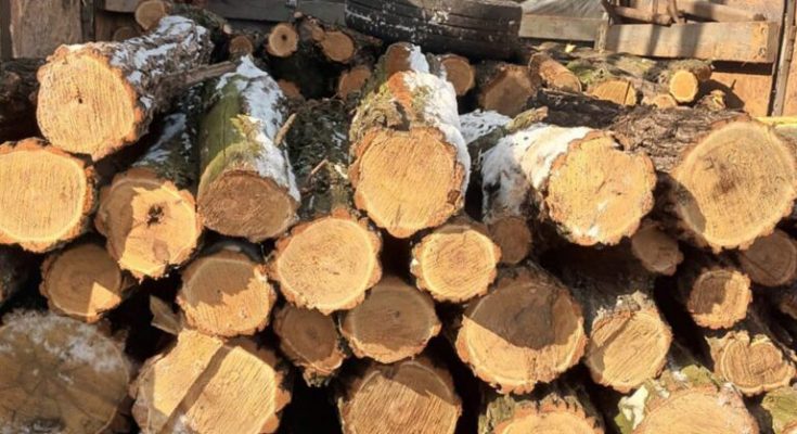 намагалися відкупитися від
