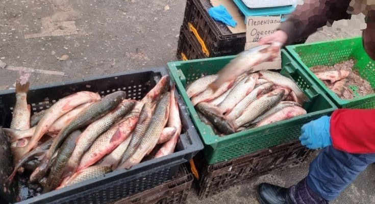 Держекоінспекція