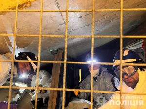 британських криміналістів