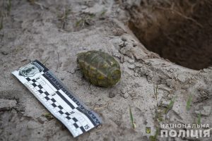 10 бойових гранат