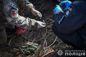 10 бойових гранат
