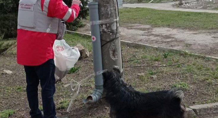 годівниці для тварин