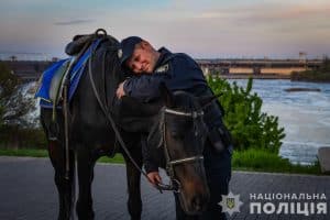 лісопаркових