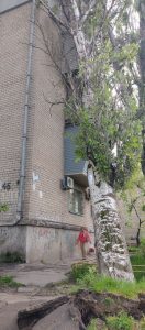 рекордний