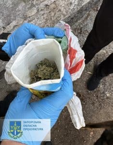 канабісу