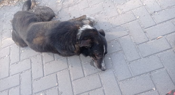 маршруту