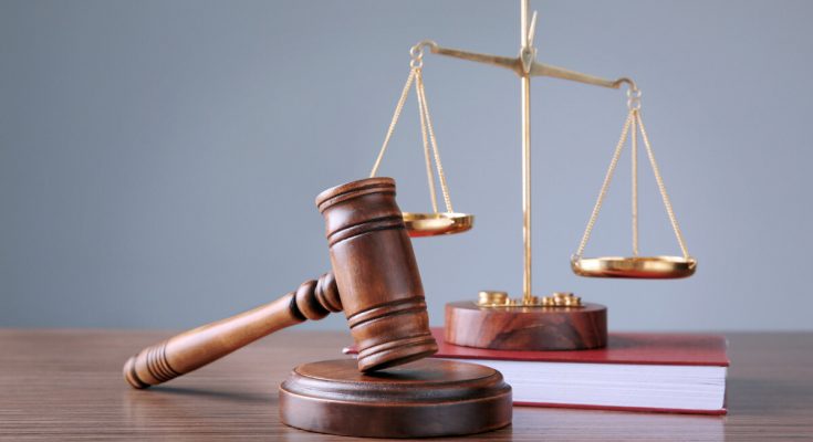 одинадцятикласниця