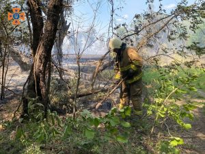 на відкритій території