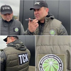 тимчасова слідча комісія