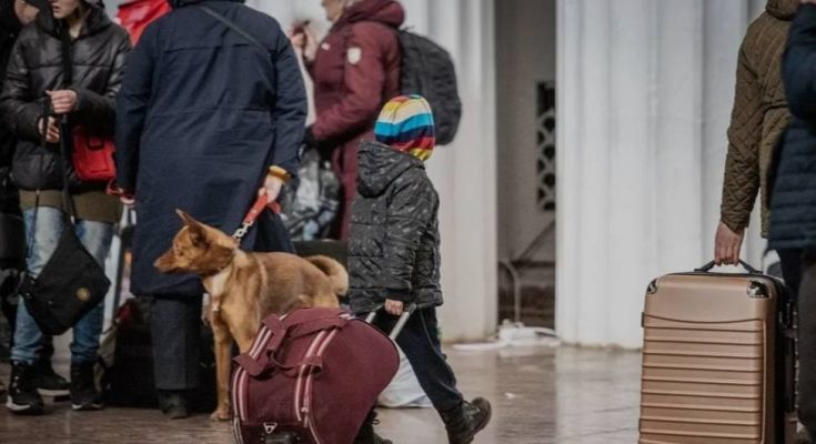 українців