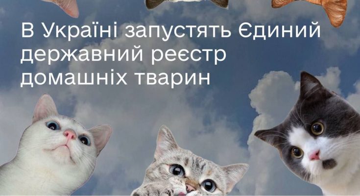 державний реєстр домашніх
