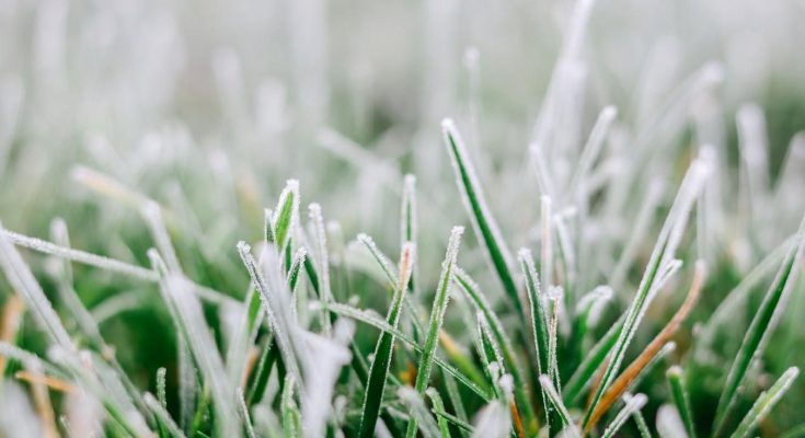 перші заморозки