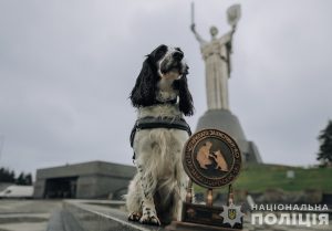 конкурсі